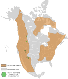 Carte de répartition des fossiles de Parasaurolophus sur l'Amerique du Nord.