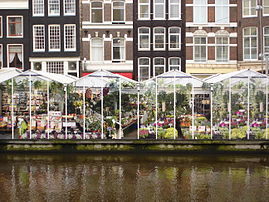 Marché aux fleurs d'Amsterdam. (définition réelle 2 592 × 1 944)