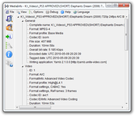 Скриншот программы MediaInfo