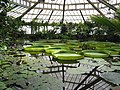 Meise, Jardin botanique national de Belgique