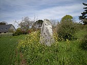 Menhir de Kervéniou