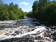 La Pedja en aval du barrage de Härjanurme .