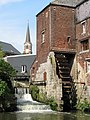 Le grand moulin d'Arenberg, Rebecq. (notez les pigeons sur les aubes)