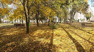 Praça principal de Głowaczów no outono