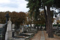 Vue d'une allée du cimetière