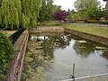 Swan Pit, Great Hospital, Norwich