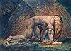 Nebuchadnezzar, by William Blake