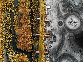 Vista aérea da reserva natural Rostochchia na região de Lviv, Ucrânia. A área é de 2 084,5 hectares. Foi criada em 1984 com o objetivo de preservação e estudo científico das paisagens únicas do Roztochchi ucraniano, uma cadeia de colinas no oeste da Ucrânia. A extensão do território de norte a sul é de 8 km, de oeste a leste é de 12 km. Desde 13 de julho de 2017, a área de 384,81 hectares da reserva natural “Roztochchia” foi incluída no patrimônio mundial da UNESCO como um dos maciços das florestas primárias e antigas de faias dos Cárpatos e de outras regiões da Europa. (definição 3 948 × 2 959)