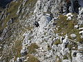 Hiking the Hochplatte mountain in the Bavarian Alps