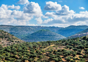 מבט מן המבצר החשמונאי מזרחה לעבר שמורת עיינות זרקא