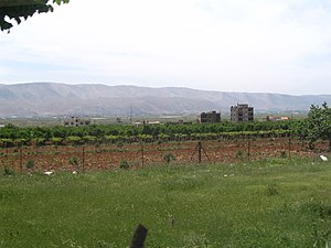 Vineyards