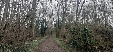 Une forêt fluviale sépare l'étang de la Seine.