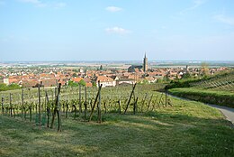 Dambach-la-Ville – Veduta