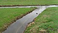 Die Mündung der Dobrach in Kulmbach in die Flutmulde – Dobrachseite