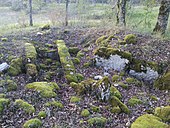 Dolmen de Salers