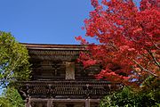 円成寺 紅葉