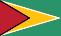 Guyana জাতীয় পতাকা