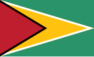 ガイアナの旗