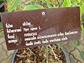 Panneau descriptif en thaï.