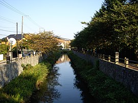 真間川（宮久保一丁目・東菅野二丁目）