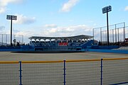 東広島運動公園野球場（2009年1月）