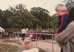 The hippopotamus enclosure in 1985