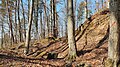 Der Burghügel rechts mit Resten des Burggrabens