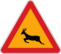 Wild animals crossing