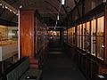 Inside the Macleay Museum