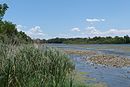 Reserva Natural de Los Galachos de La Alfranca de Pastriz, La Cartuja y El Burgo de Ebro