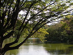 Parc Montsouris.