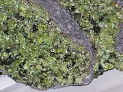 Light green olivine crystals in peridotite xenoliths in basalt from Arizona
