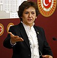 Birgül Ayman Güler