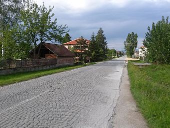 Пут који спаја Лесковац и Вучје