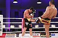 Vecchio vs. Topyürek 2016