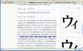 図1.1 Windows XP + Firefox