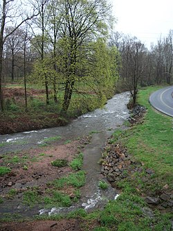 Allegheny Creek in Gibraltar, Pennsylvania