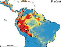 Los puntos negros indican presencia de Bassaricyon alleni.[2]​