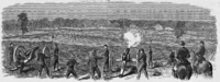 Battle of Champion Hill, Harper's Weekly, Volume: 1863, Issue: 06/20. Sketched by Theodore R. Davis.