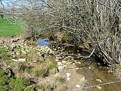 Le Boulou près du lieu-dit les Brageaux à Saint-Crépin-de-Richemont, ZNIEFF du Boulou amont.