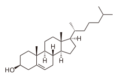 Chemical structure of cholesterol