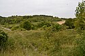 Hexton Chalk Pit