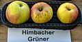 Himbacher Grüner