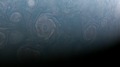 Image 22Several cyclones on the dynamic north pole of Jupiter, imaged by Juno (from Cyclone)