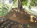 Mur de l'ancienne cité de Kamphaeng Phet.