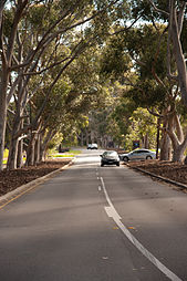 Lovekin Drive (near Botanical Gardens)