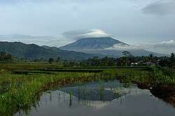 O vulcão Sumbing (3 371 m de altitude), situado na Regência de Magelang