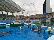 名古屋港水族館（名古屋市港区）