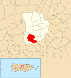 Location of Pasto within the municipality of Morovis shown in red