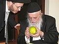 Rabbi Bergman re-examines an etrog for a student